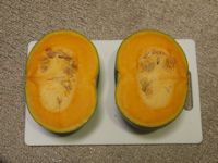 Kabocha