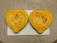 Kabocha