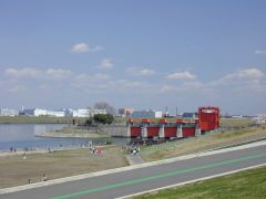 ���╣����