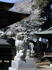 ��������u��v