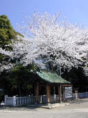 �����_�Ћ���