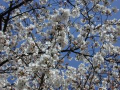 �z�K�_�Ћ���