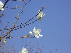 ���������܂���